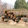 Zámocký park sa vyprázdňuje