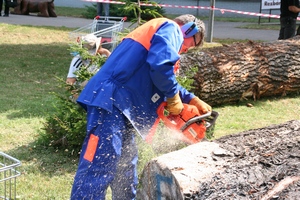 Pokochajte sa na rezbárskom sympóziu - detail 2