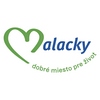 Voľby do VÚC 2017 – Kto môže delegovať člena do okrskovej volebnej komisie