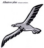 Albatros plus