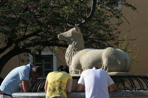Brunnen